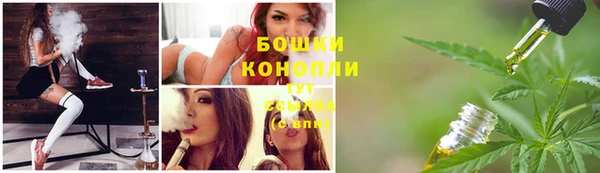 ПСИЛОЦИБИНОВЫЕ ГРИБЫ Волосово