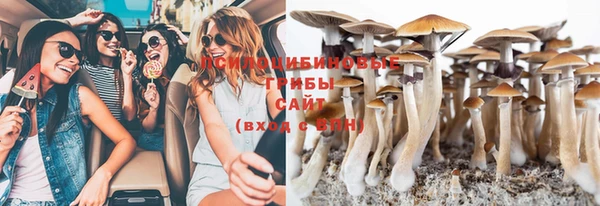 ПСИЛОЦИБИНОВЫЕ ГРИБЫ Волосово