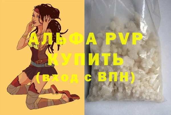 сатива Володарск