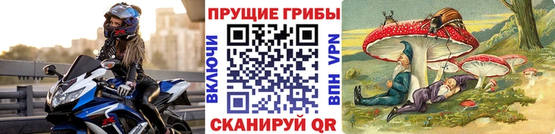 Псилоцибиновые грибы ЛСД  Горбатов 